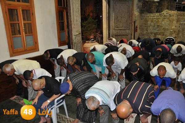 msajed amer qder 804 (43).JPG